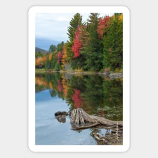Fall Foliage / Colton Pond, VT Sticker